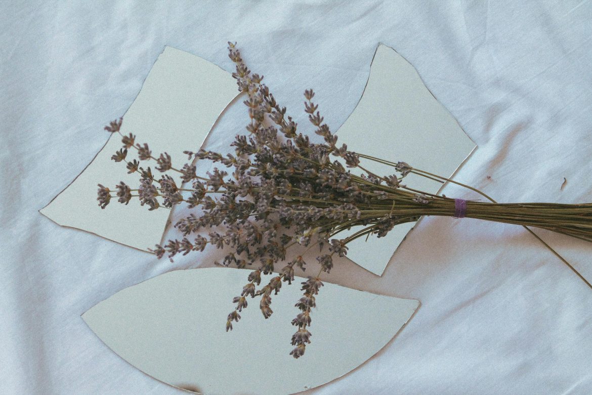 crimen-cervantes-creatividad-activa